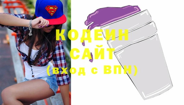 твердый Козельск