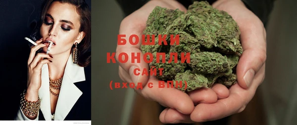твердый Козельск