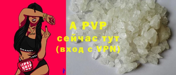 твердый Козельск