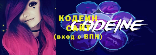 твердый Козельск