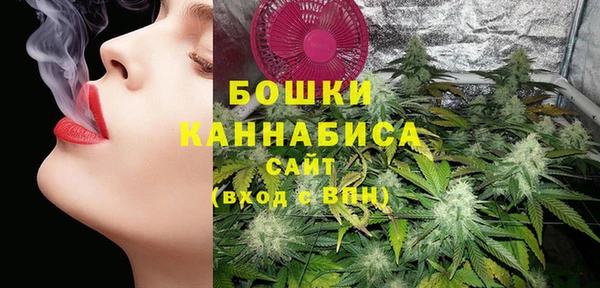стафф Козловка