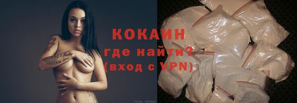 твердый Козельск