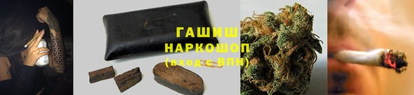 твердый Козельск
