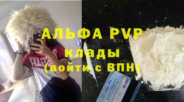 твердый Козельск