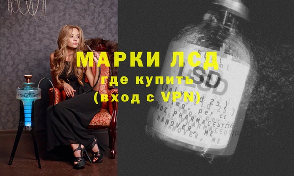 стафф Козловка
