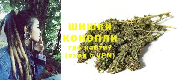 твердый Козельск
