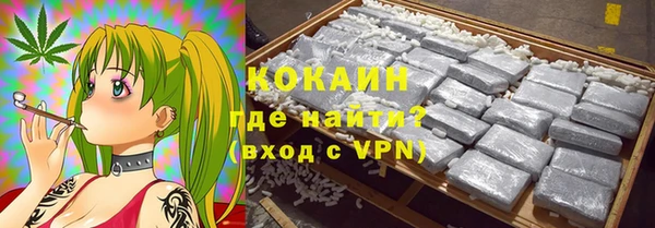 твердый Козельск