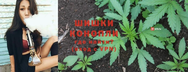 твердый Козельск