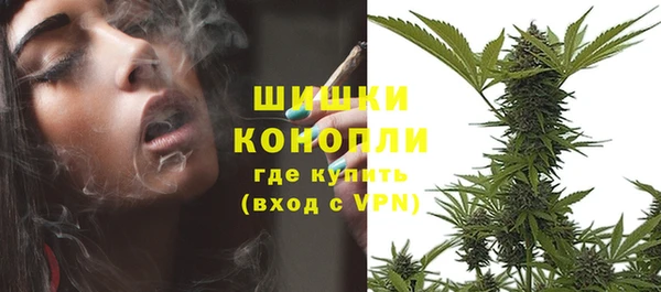 стафф Козловка