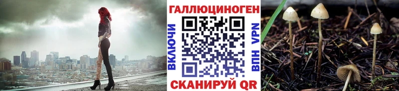 Купить  Новошахтинск  Галлюциногенные грибы мицелий 